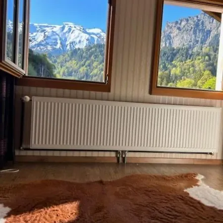 For Group Bookings Engelberg